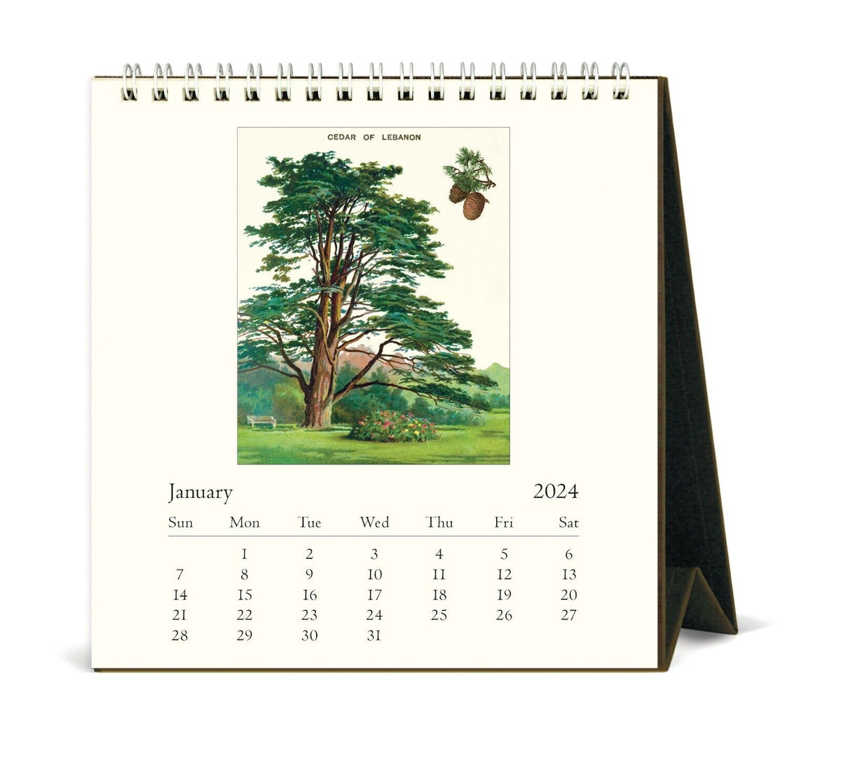 2024 Cavallini Arboretum Desk Calendar Museum for Art in Wood