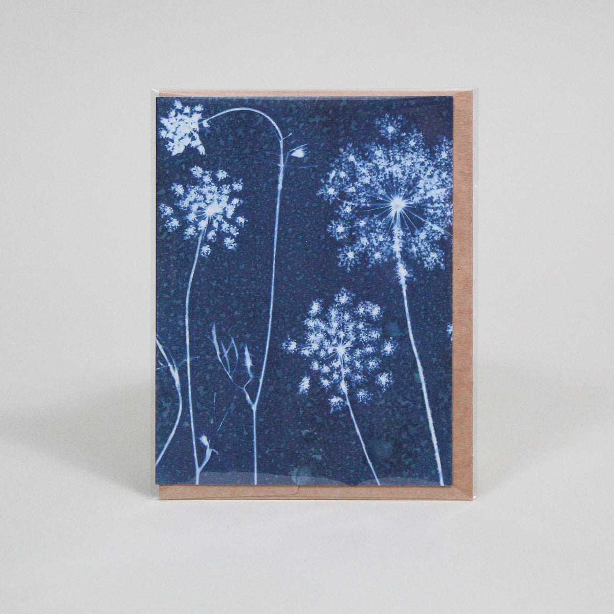 Cyanotype Individual Greeting Cards Museum for Art in Wood