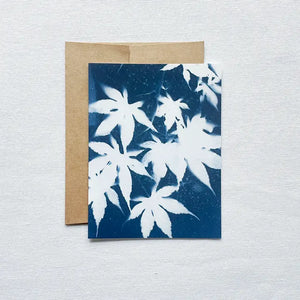 Cyanotype Individual Greeting Cards