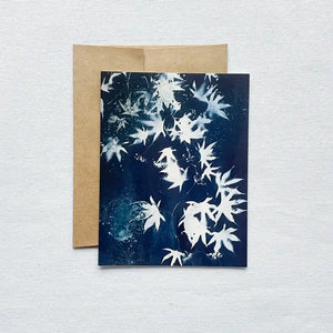 Cyanotype Individual Greeting Cards