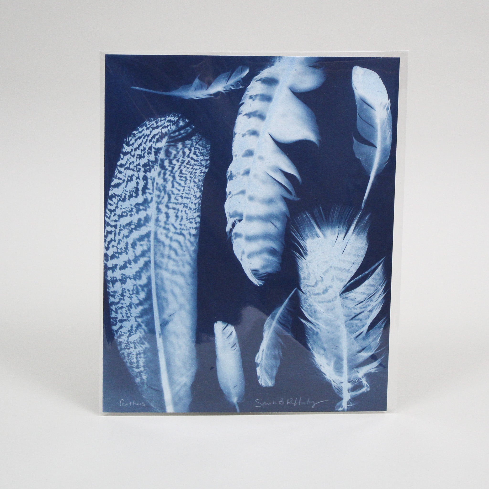 Feathers Cyanotype Art Print