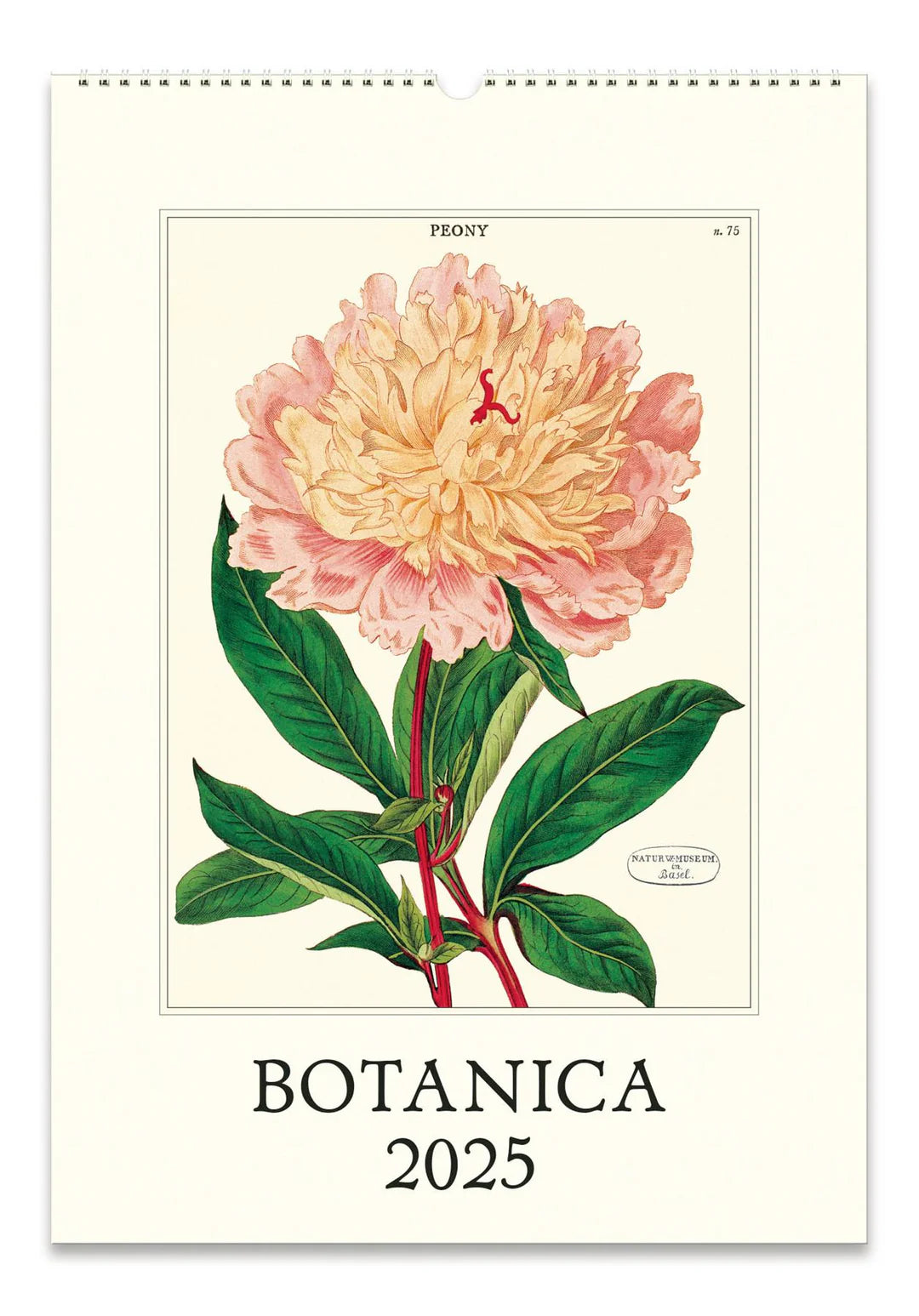 2025 Cavallini Botanica Wall Calendar