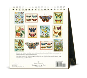 2025 Cavallini Papillons Desk Calendar