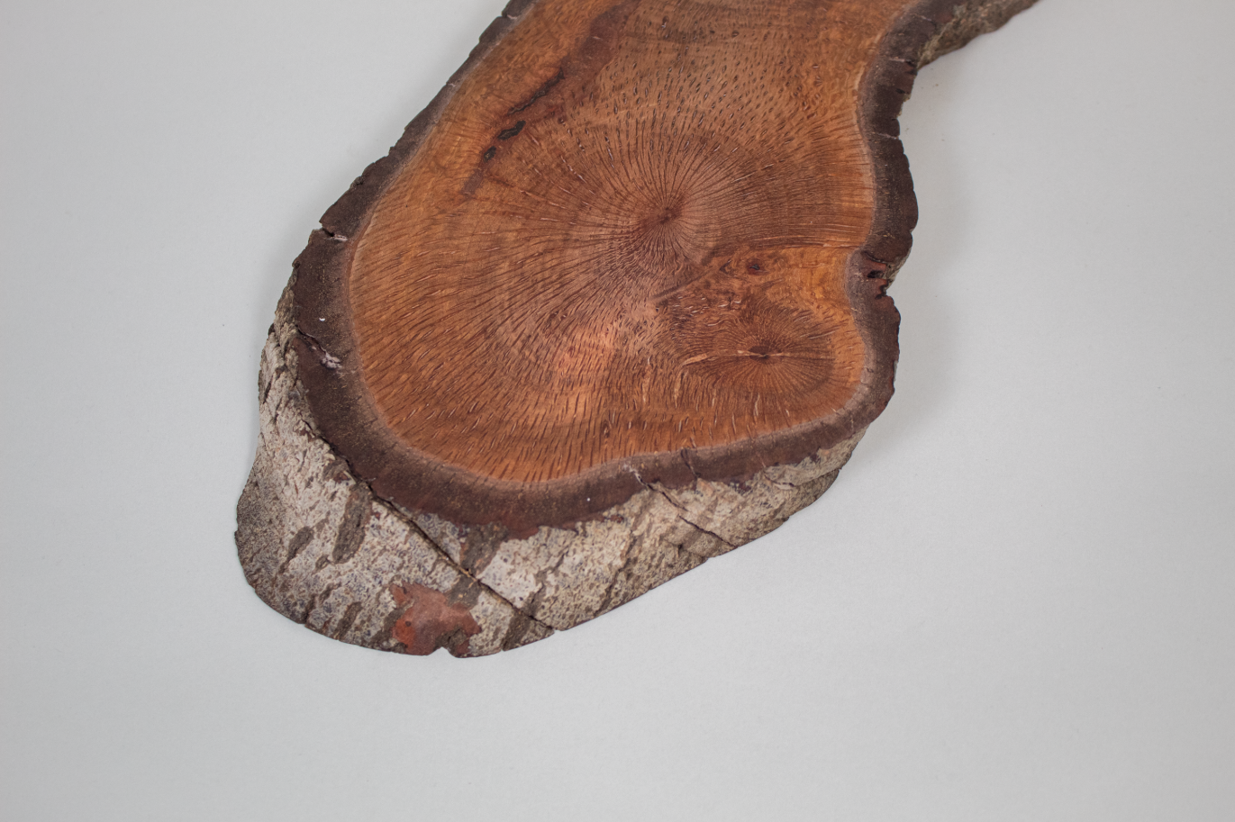 Live Oak Double Cookie