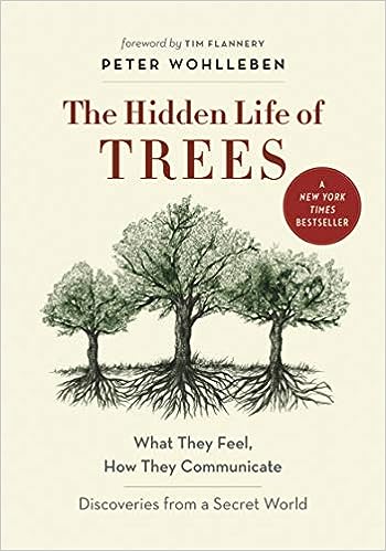 "The Hidden Life Of Trees What They Feel, How They Communicate" Book