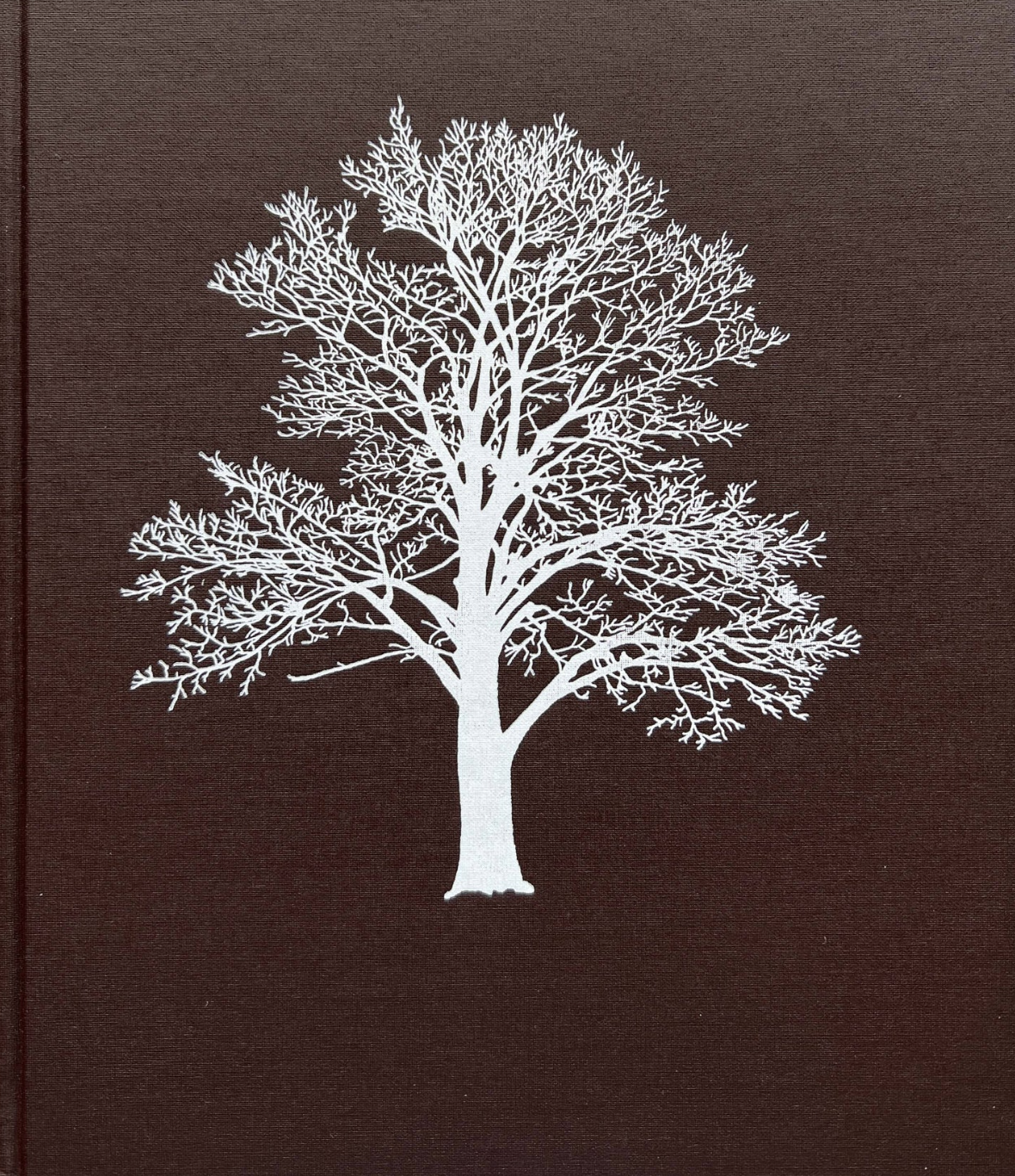 "With the Grain: A Craftsman's Guide to Understanding Wood"