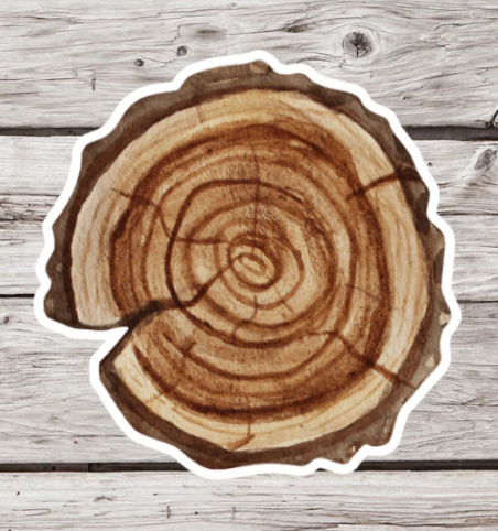 Tree Slice Vinyl Sticker