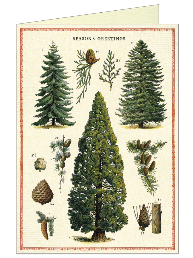 Cavallini Season's Greetings Card