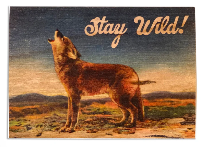Stay Wild