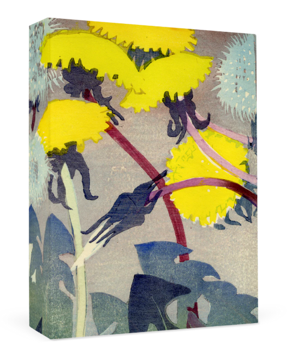 Mabel Royds: Dandelions Small Boxed Cards