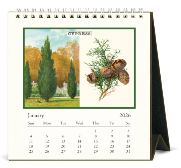 2026 Cavallini Arboretum Desk Calendar