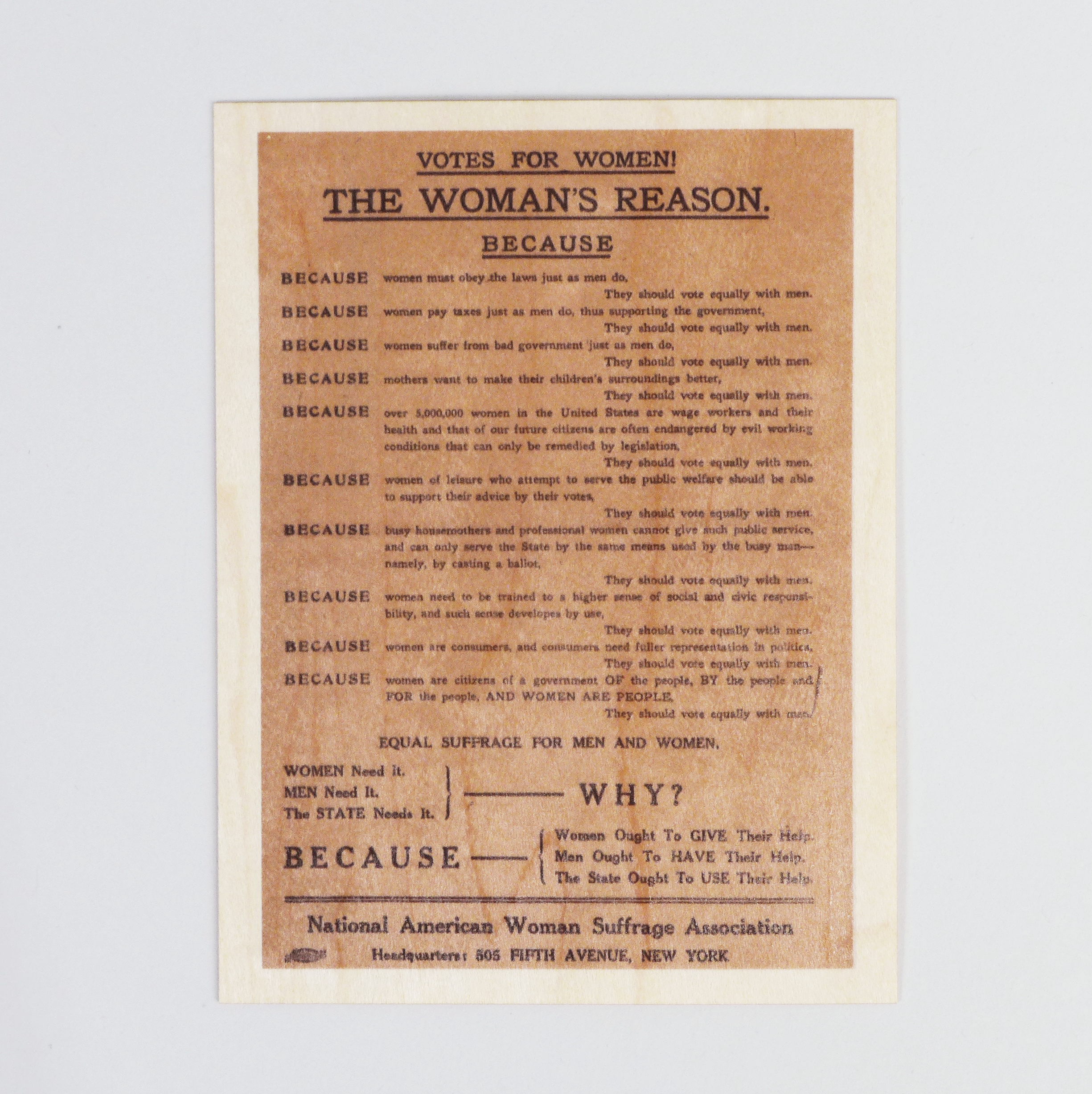 1912 National American Woman Suffrage Association Postcard