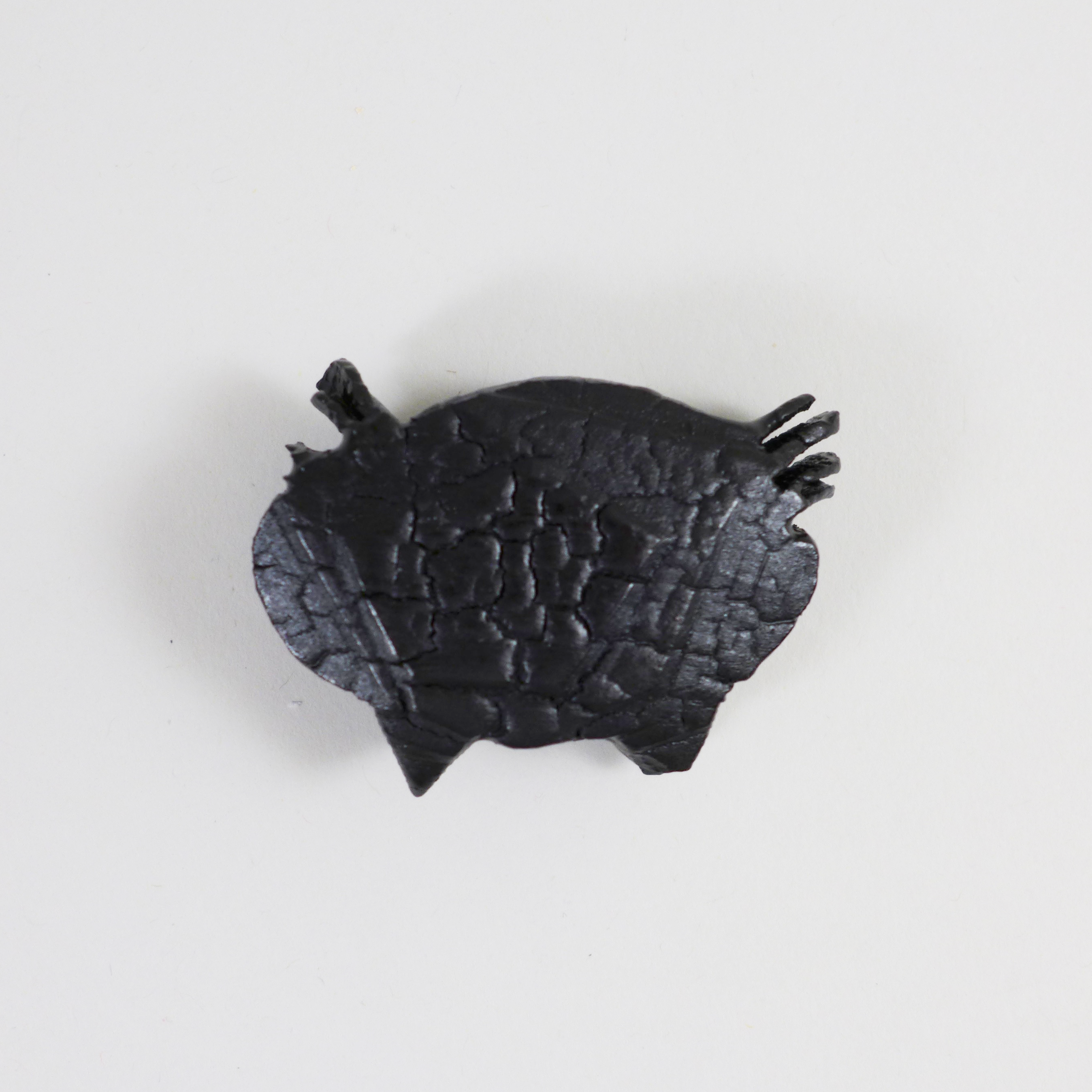 Charred, carved, holly wood brooch, handmade jewelry by Morgan Hill at the Center for Art in Wood
