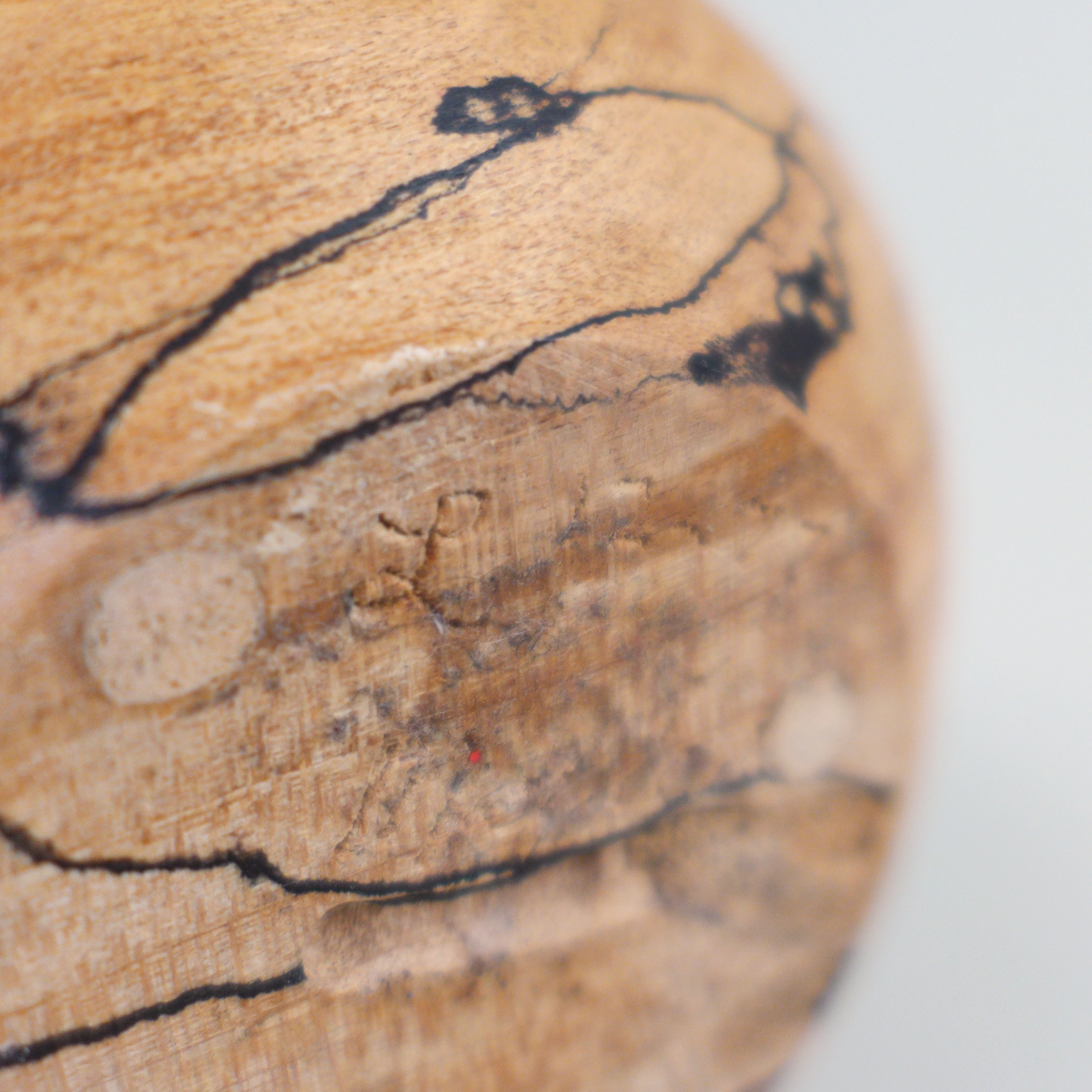 Handmade turned wood vessels by Mel Lindquist at the Center for Art in Wood