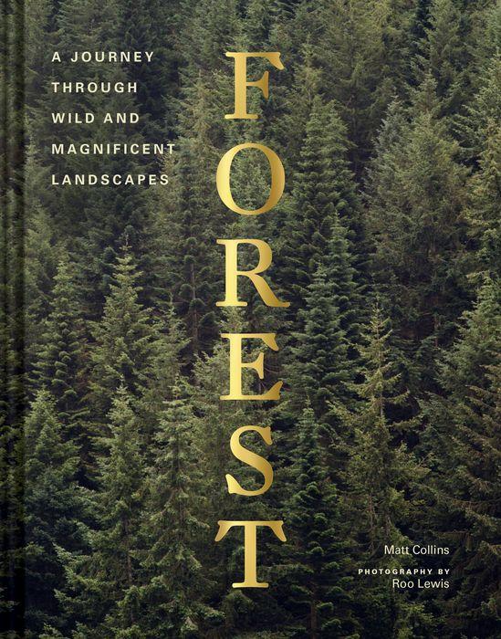 Forest- A Journey through Wild and Magnificent Landscapes