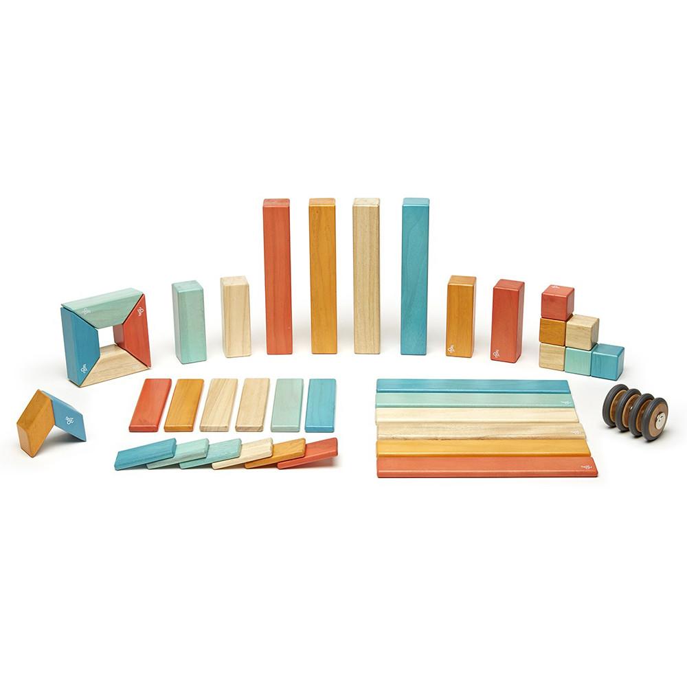 Tegu 14 piece Magnetic Wooden Block Set